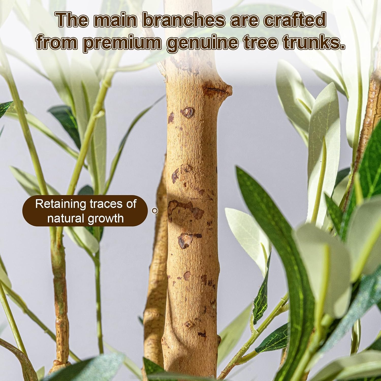 Tall Faux Olives Trees Large Artificial Olive Tree Indoor Outdoor Realistic Floor Plant Fake Flowers Plants for House Home Living Room Bedroom Office Front Porch Modern Farmhouse Boho Decor - Image 7