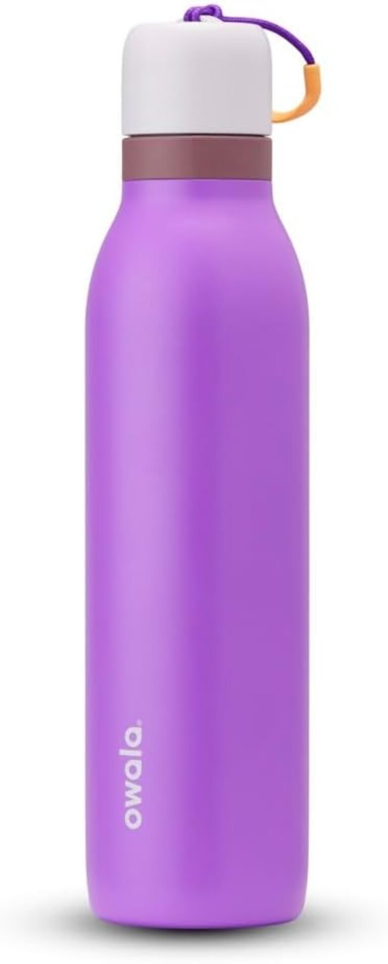 Owala FreeSip Twist Stainless Steel Water Bottle 24 oz California Grapevine