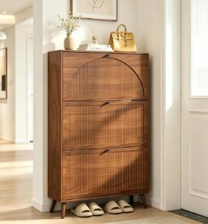 Fsbecl Shoe Storage Cabinet for Ent...