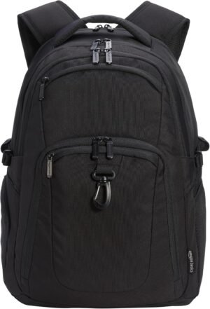 Amazon Basics Travel Laptop Backpac...