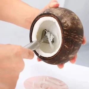 Kitchen Gadget Household Hand Coconut Meat Extractor Shaved Knife
