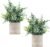 Coferset 2 Pack Small Fake Plants Eucalyptus Potted,Sage Green