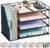 gianotter 4-Tier Paper Organizer With Magazine Holder